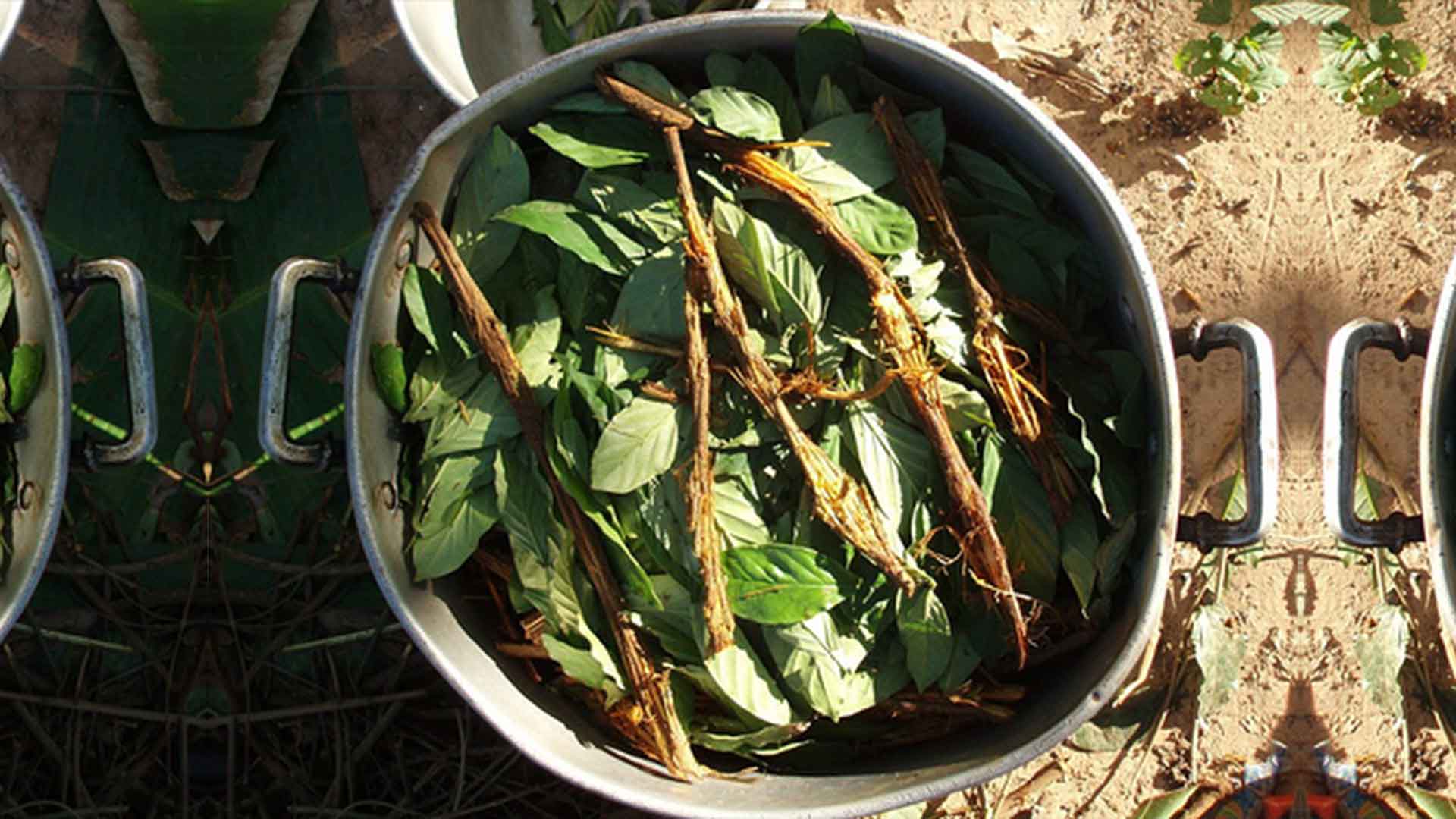 AYURASCA